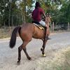 fndaquon