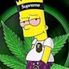 tiktokoficial340