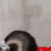 mbika.ap