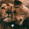 amina_._95