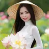 801.com2