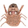 austinraeves
