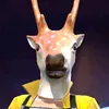 dbbbdjdndndd