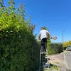 thibault_dsd