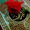 safaesafae428