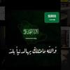 nawal_n8