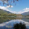 moniquefurfaro