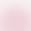 soo_rose0