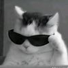 miras_494