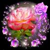 garciagarcia9658