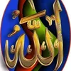 user7apod8ljl3