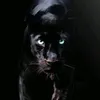 tigersclaw77