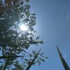 colochitat12