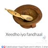 taatiko12..12