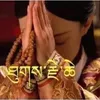 gautambuddha63