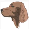 reddoggie06