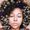 curlyhippie1