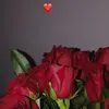 laurajoleen