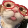 shobe.toby