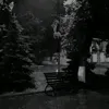 313.t.w