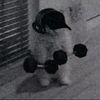 garamm_2