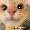 santi55yy1