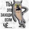 matorist4