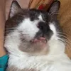 feltburn