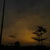 thozcte11