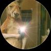 user545607105