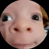 danqdat9