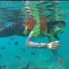 dwita_basia