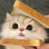 keva_310