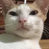 teaseazzzzzzzz