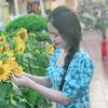 nhtqp
