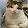 nobodyr.n