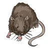 mr.drats