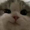 __n0vi10