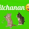 nitchanan.ann