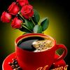 www.tiktok.shezlins2