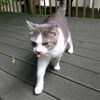 fuzzypaws2008