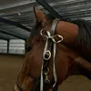 elias__813