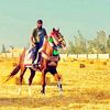 ashour5310