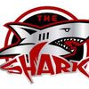 theshark.official
