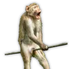 funny_4455