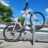 sigmaskibidicumer