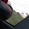 nisavedra69