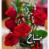user17342039748493