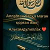 almajan.11.11