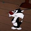_gato21_
